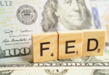 Should a Long-Term Investor “Fight the Fed”? Fight the fed